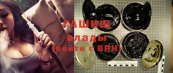 хмурый Алексин