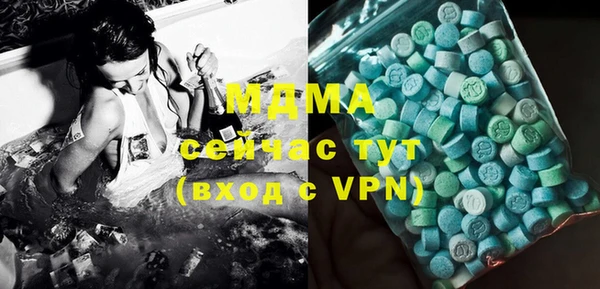 хмурый Алексин