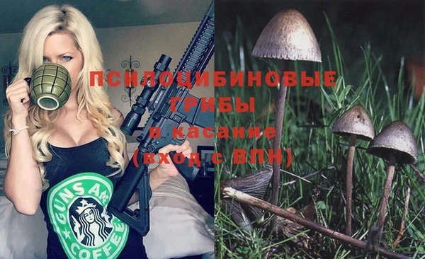 хмурый Алексин