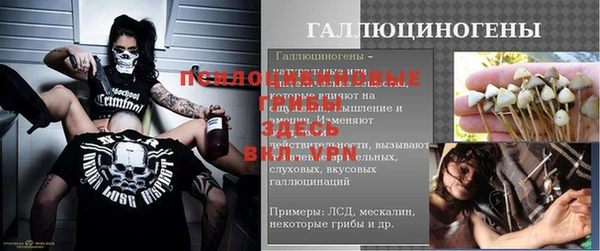 хмурый Алексин