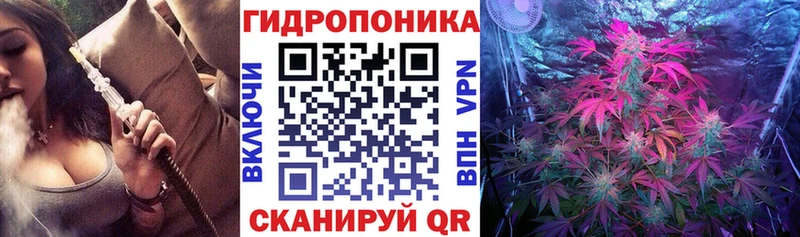 Конопля планчик  Красноярск 